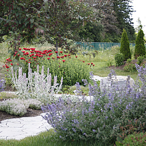 Sensory Garden